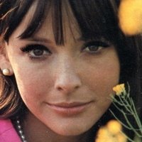 Brenda Scott Desnuda