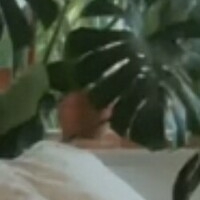 estelleonline Desnuda