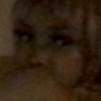 Kittypet Desnuda
